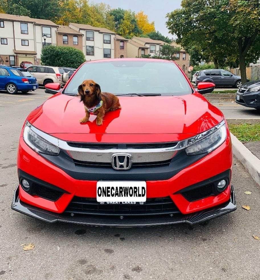 CARBON FIBER FRONT LIP WITH COLOR FOR ALL SEDAN CARS - ONECARWORLD
