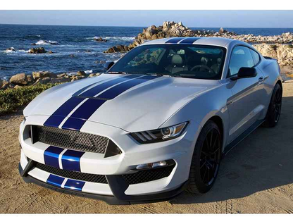 Mustang GT350 Style Aluminum Hood (Fits All 15-17 Models) Direct Fit & Includes Plastic Grille Insert